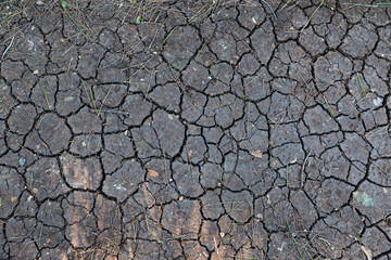 cracked earth