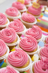 pink cupcakes serie