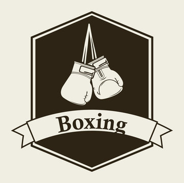 boxing emblem