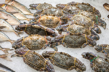 Raw and fresh seafood on the ice