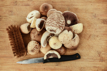Mushrooms on a chopping board