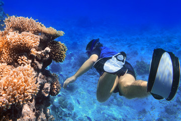 Man snorkeling in the Red Sea, Egypt