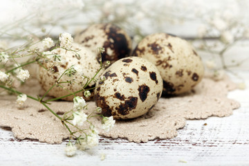 Obraz premium Easter composition of quail eggs