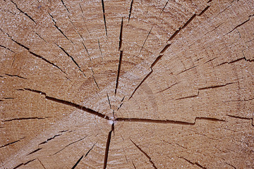 background of wood