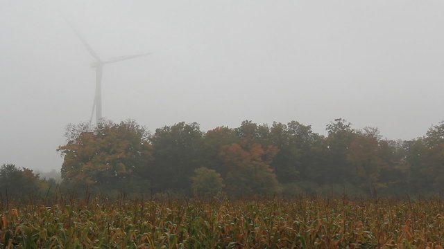 Corn Field Wind Turbine Fog 3