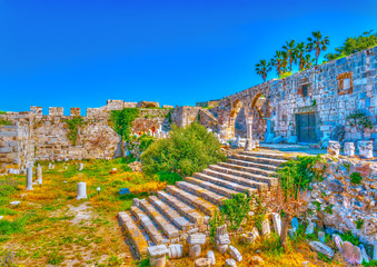 Fototapete bei efototapeten.de bestellen   