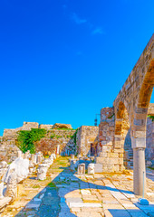 Fototapete bei efototapeten.de bestellen   