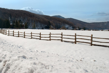 Wooden fence