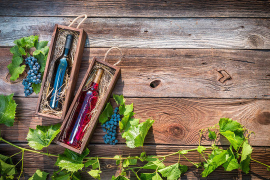 Different types of wine in a wooden box and grapes