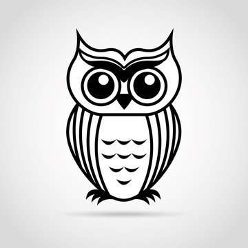 owl bird