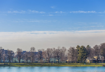 Fototapeta premium Beautiful winter landscape
