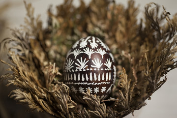 Easter egg in Jericho rose
