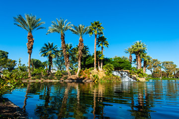 Naklejka na ściany i meble Palm trees on side of lake with reflection