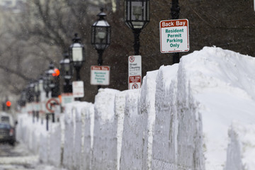 Snow in City