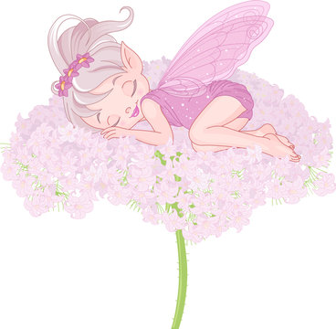 Sleeping Pixy Fairy