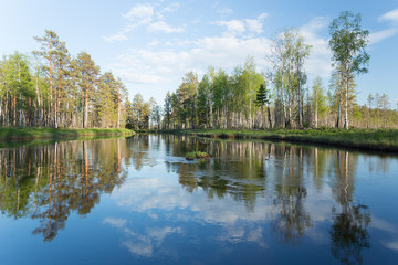 Fototapeta na wymiar Calm river a summers day, Sweden
