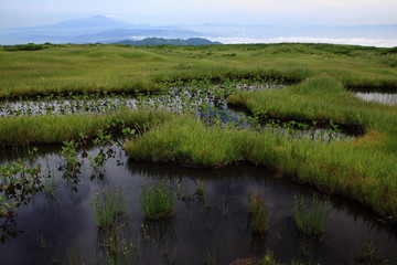 月山弥陀ヶ原より鳥海山遠望