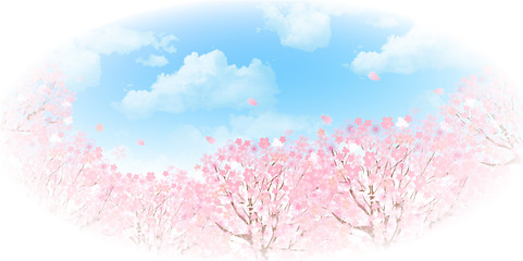 桜　空　背景