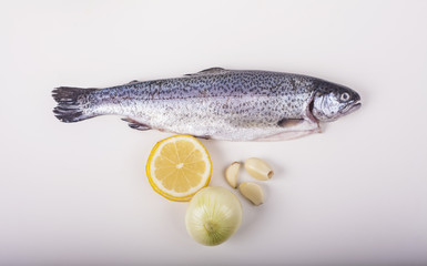 Trout