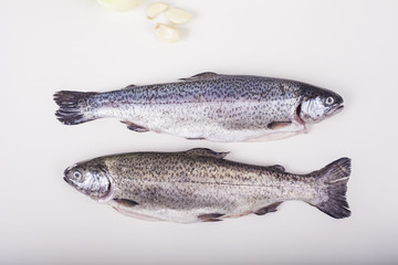 Two trouts