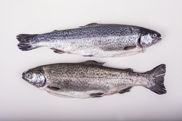 Two trouts