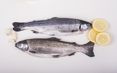 Two trouts