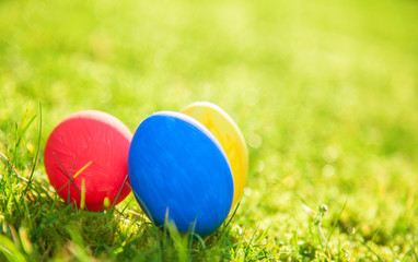 Fototapeta na wymiar Easter eggs on meadow with copy space