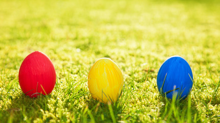 Colored easter eggs on green meadow