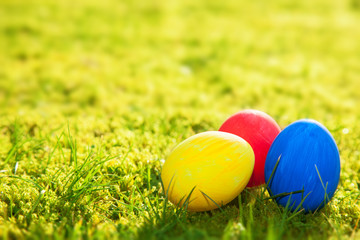 Colored easter eggs on green meadow