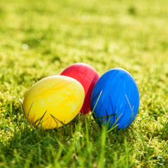 Fototapeta na wymiar Colorful easter eggs on green meadow
