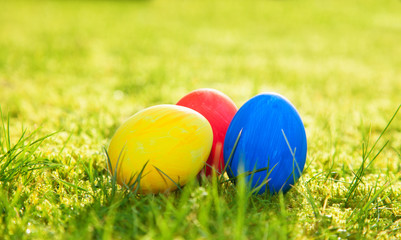 Fototapeta na wymiar Colored easter eggs on meadow
