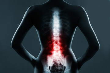 The lumbar spine is highlighted by red colour