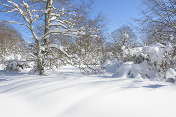 Entzia mountain range in winter, Basque Country (Spain)