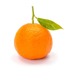 Mandarin (satsuma or tangerine)