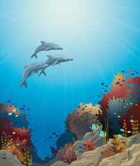 Dolphins and coral reef, underwater vector.