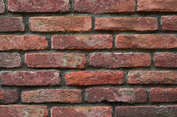 texture brick wall