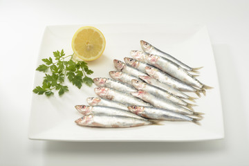 Sardinas