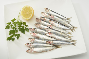 Sardinas