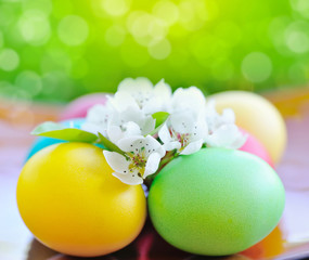 Colored easter eggs with white flowers with space for text