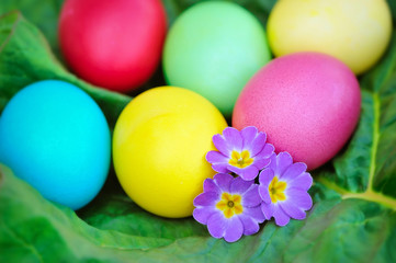 Fototapeta na wymiar Colored easter eggs with violet flowers