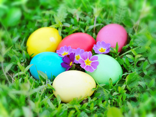 Naklejka na ściany i meble Colored easter eggs on green grass