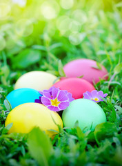 Colored easter eggs on green grass