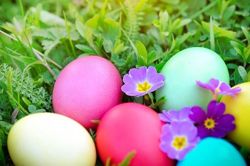 Colored easter eggs on green grass