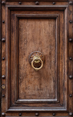 Dark wooden door panel with door knocker.