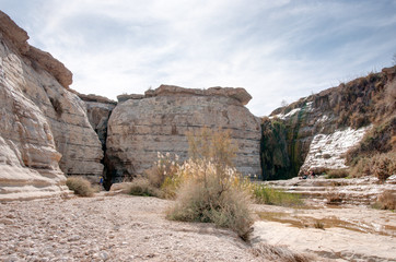 Fototapeta premium Water spring in a desert