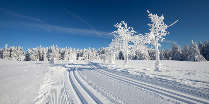 Skilanglauf-Loipe
