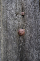 Porte ancienne en bois et clous de fer