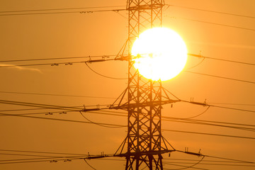 Sunset over the field