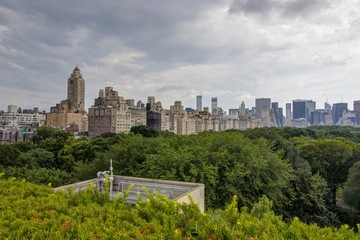 Fototapeta premium New York - Panorama da Central Park