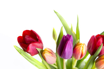 Bunter Tulpenstrauss